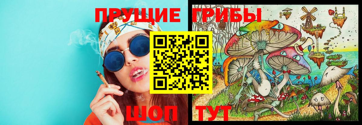 Галлюциногенные грибы мицелий Находка