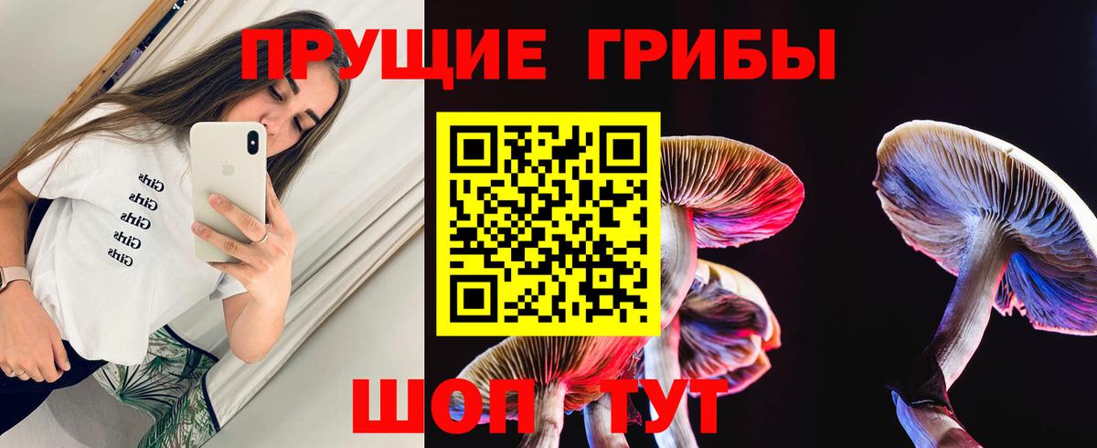 Находка  что такое   Вход с VPN  Галлюциногенные грибы Psilocybe 